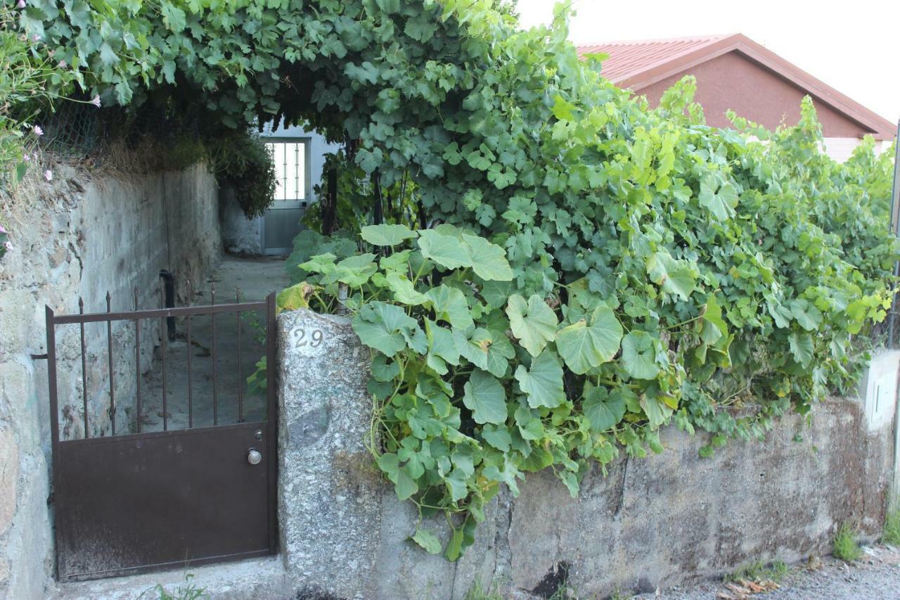Alojamento Da Ribeirinha Carquere Exterior foto